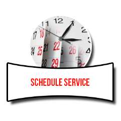 Schedule an Appointment